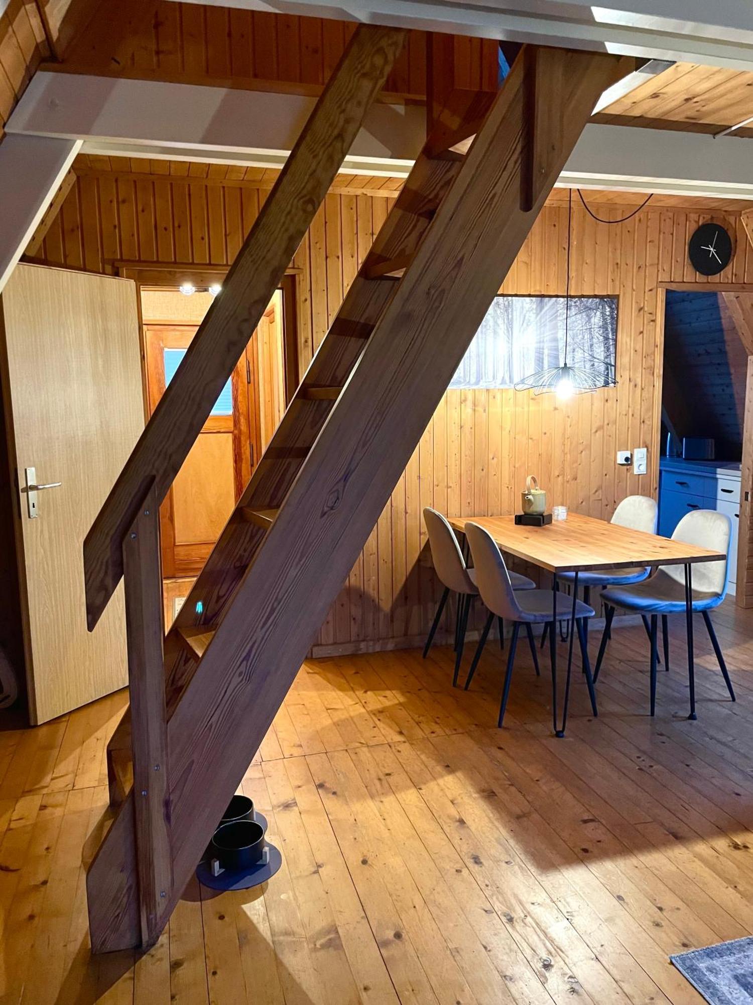 Nur-Dach-Haus Am Alfsee Rieste Exteriör bild